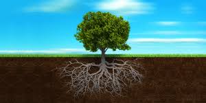 Deepening Spiritual Foundations – Spiritual Parenting